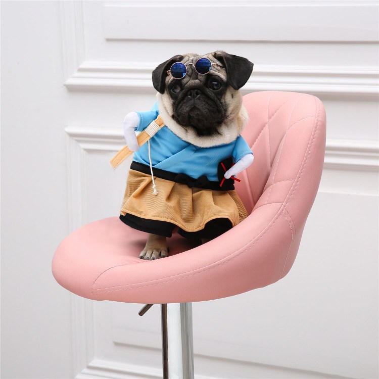 Костюм для собаки на Хэллоуин