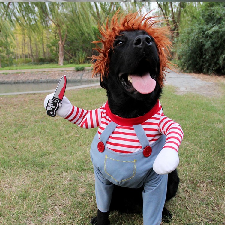 Косплей собаки