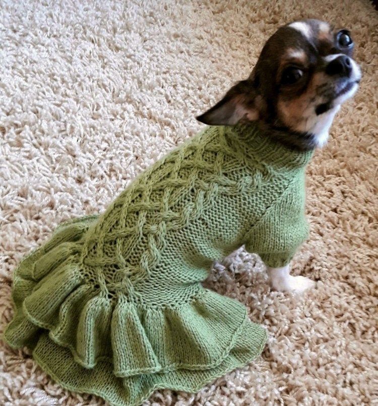 Вязаная одежда для йорков