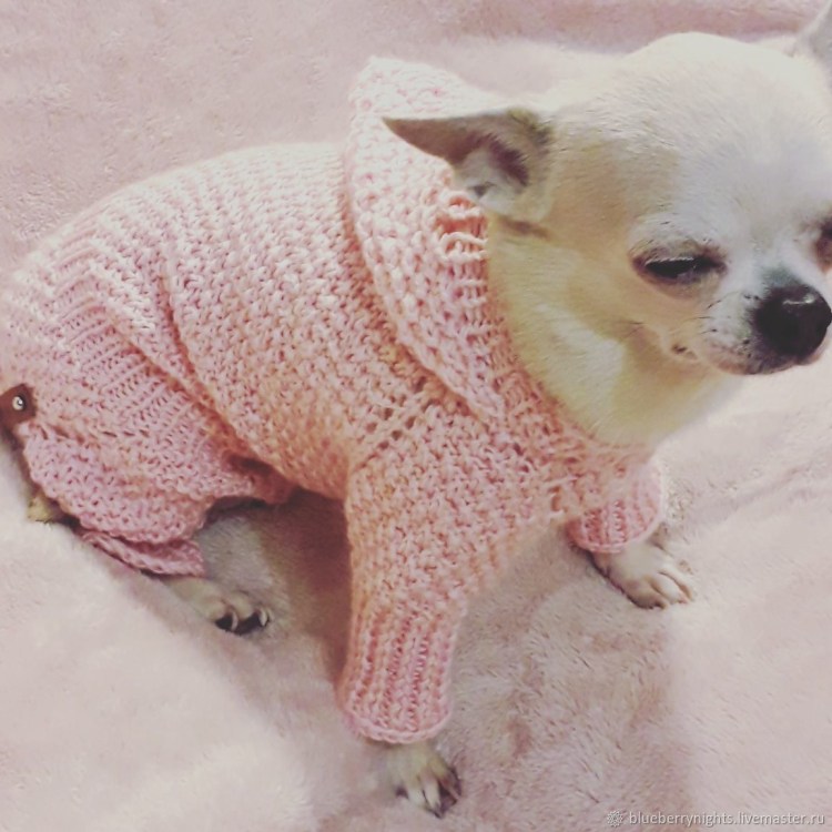 Шапочка для маленькой собачки