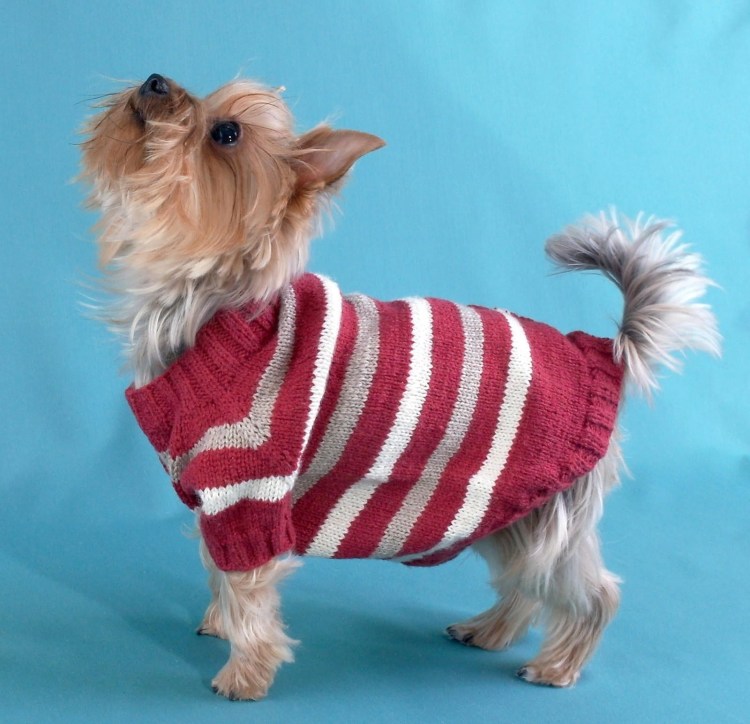Кофта для собаки