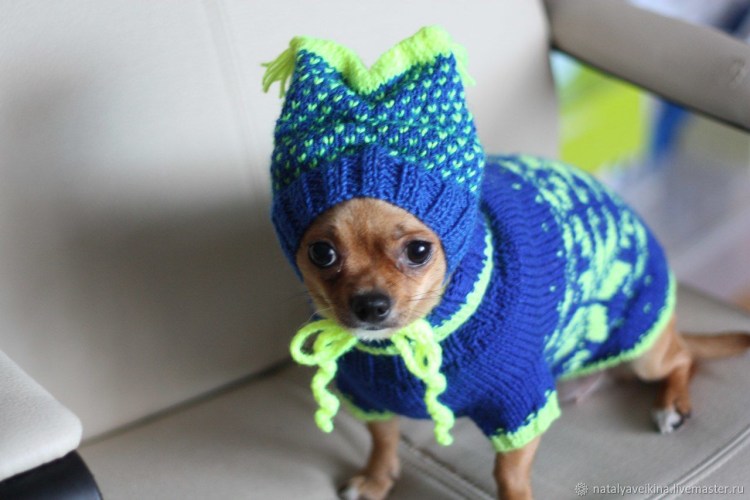 Кофточки для йорков