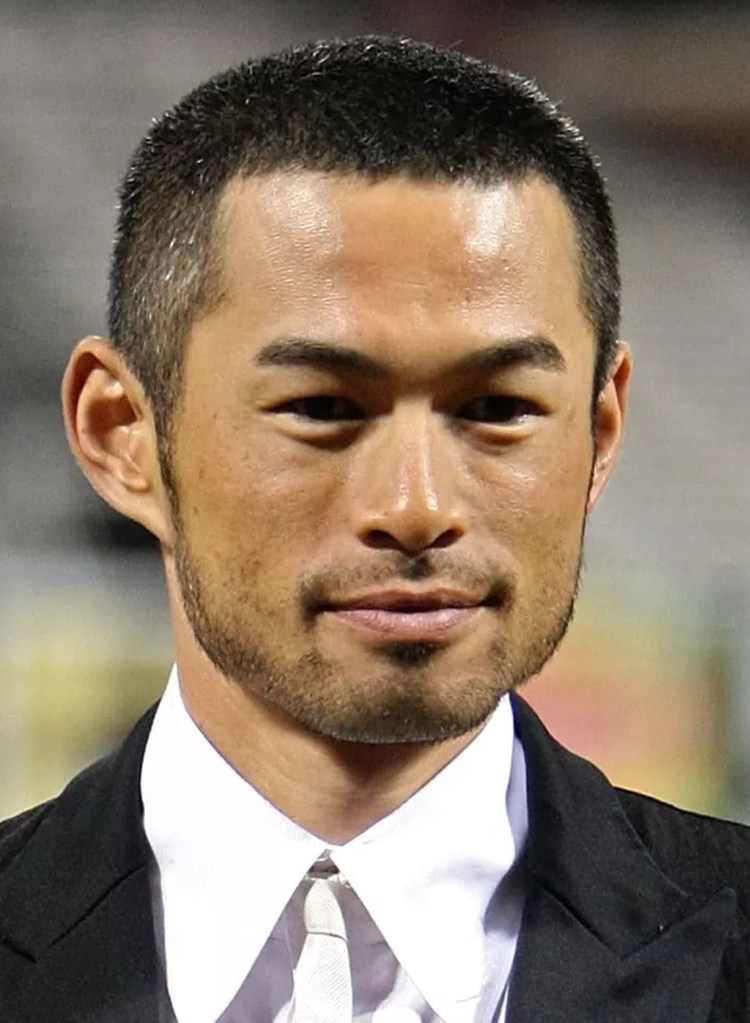 Стрижка метиса Йорка