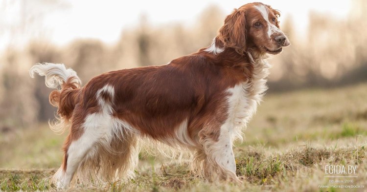 Уникальная коллекция питомник