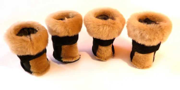 Попона для собаки своими руками