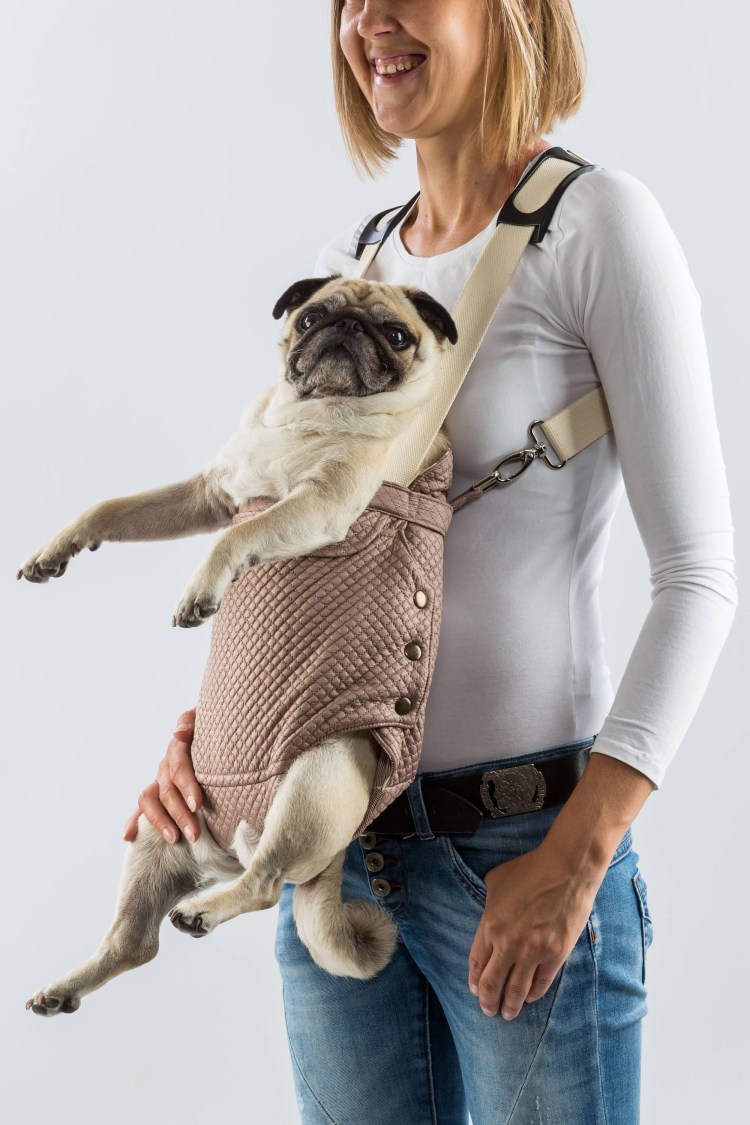 Кенгурушка для собак