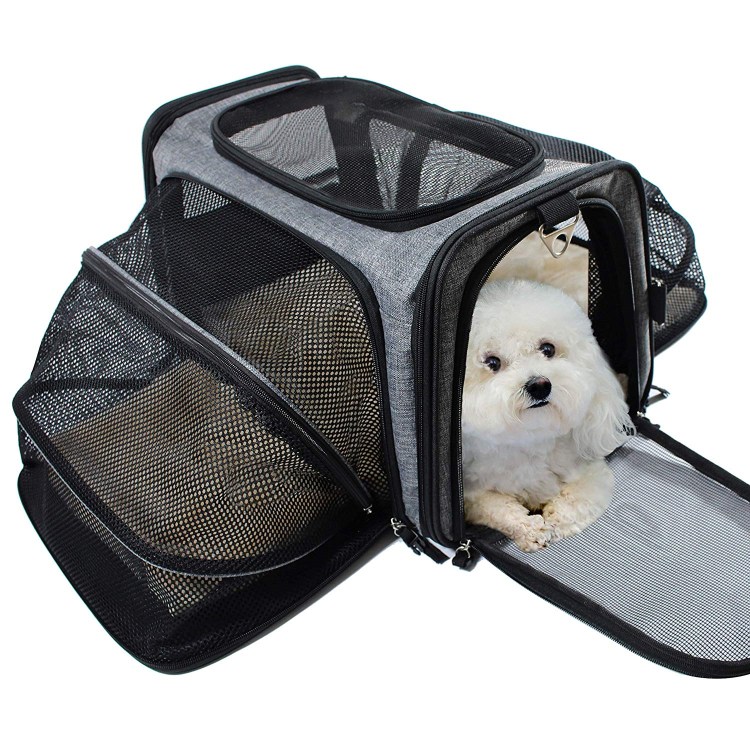 Переноска Pet Carrier Ant