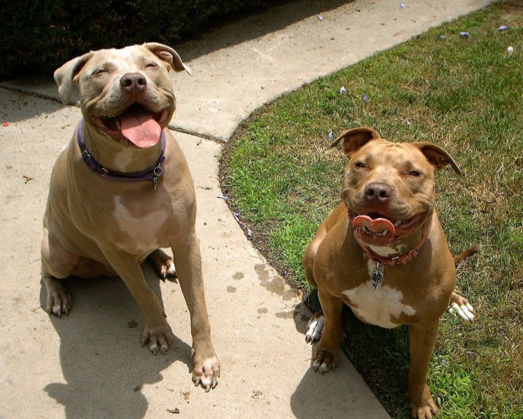 Смесь стаффа