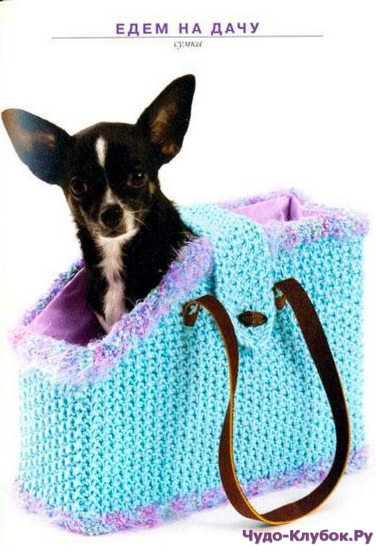 Зимний комбинезон для йоркширского терьера