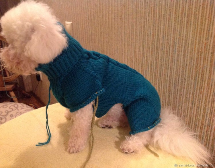 Валберис одежда для собак йорков