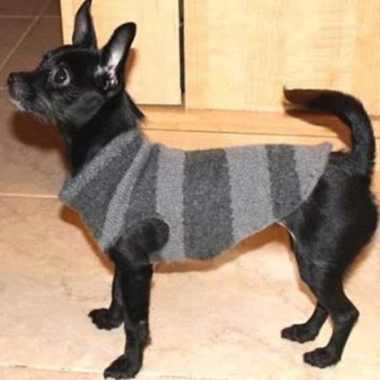 Вязание крючком с Татьяной Кучеровой для собак