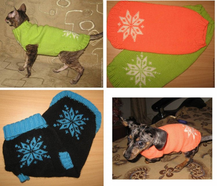 Выкройка одежды для собак