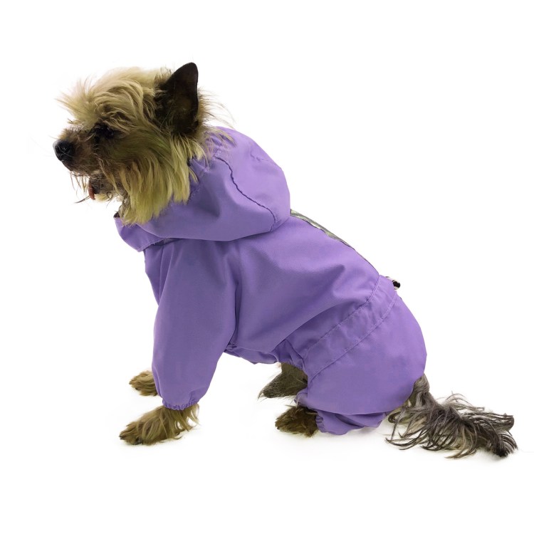 Комбинезон "Аляска" серая Зоотренд