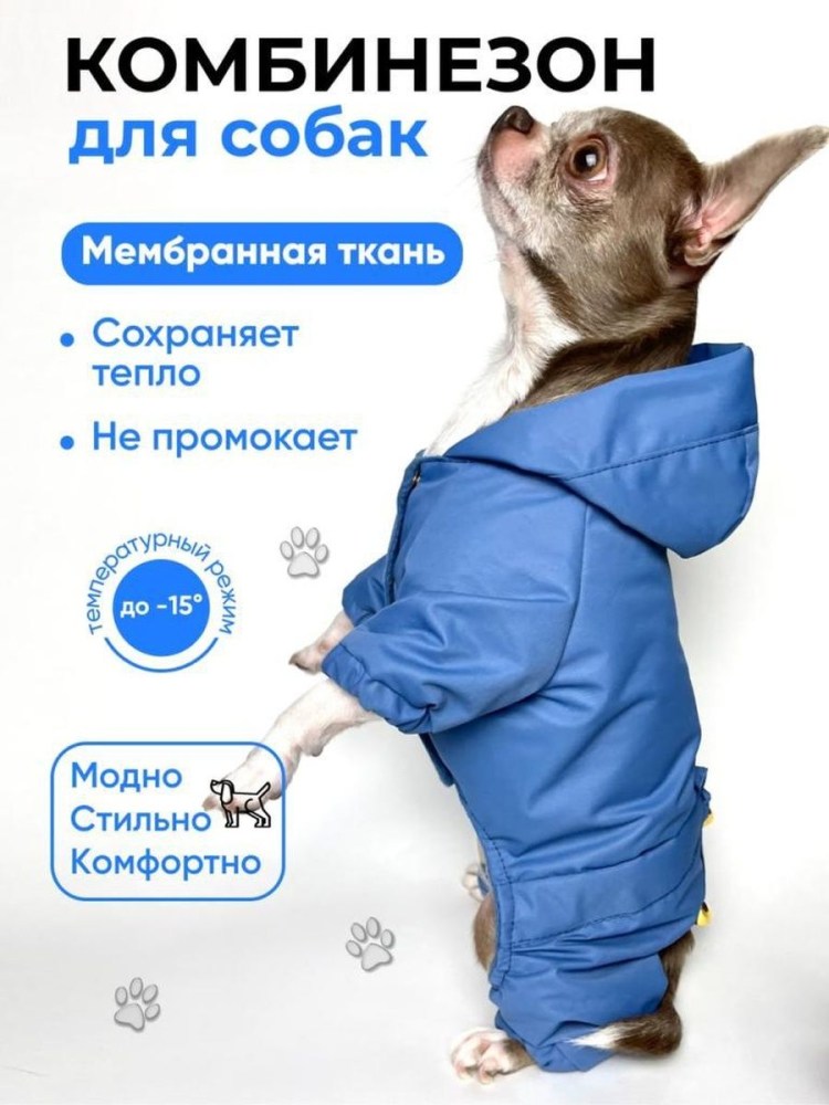 Комбинезон для маленькой собачки