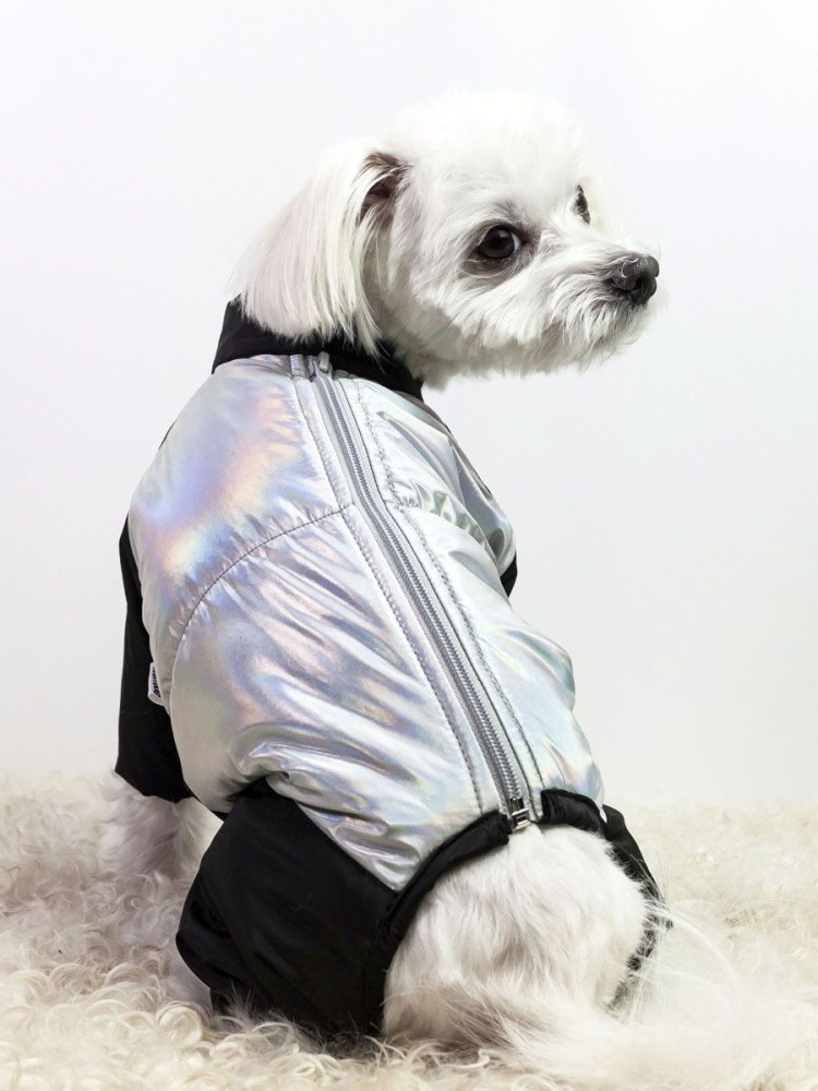 Костюм для собак happypuppy пляжный l