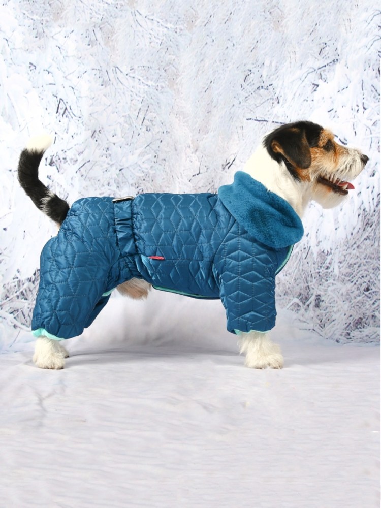 Зимний комбинезон для йоркширского терьера