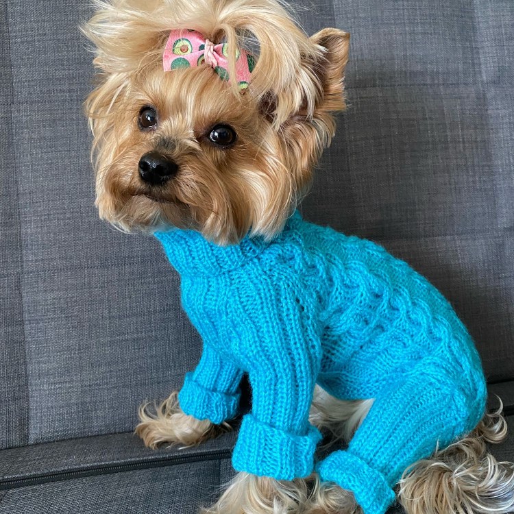 Комбинезоны для собак Догмода