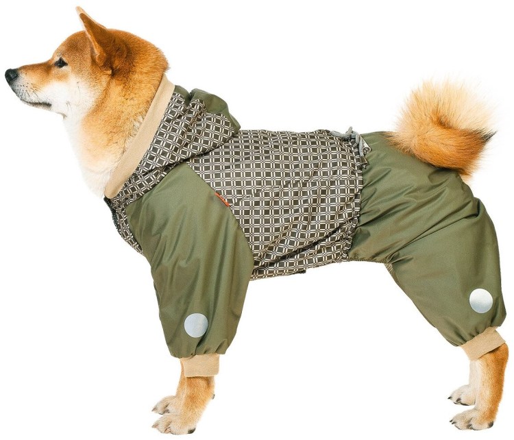 Одежда для маленьких собак