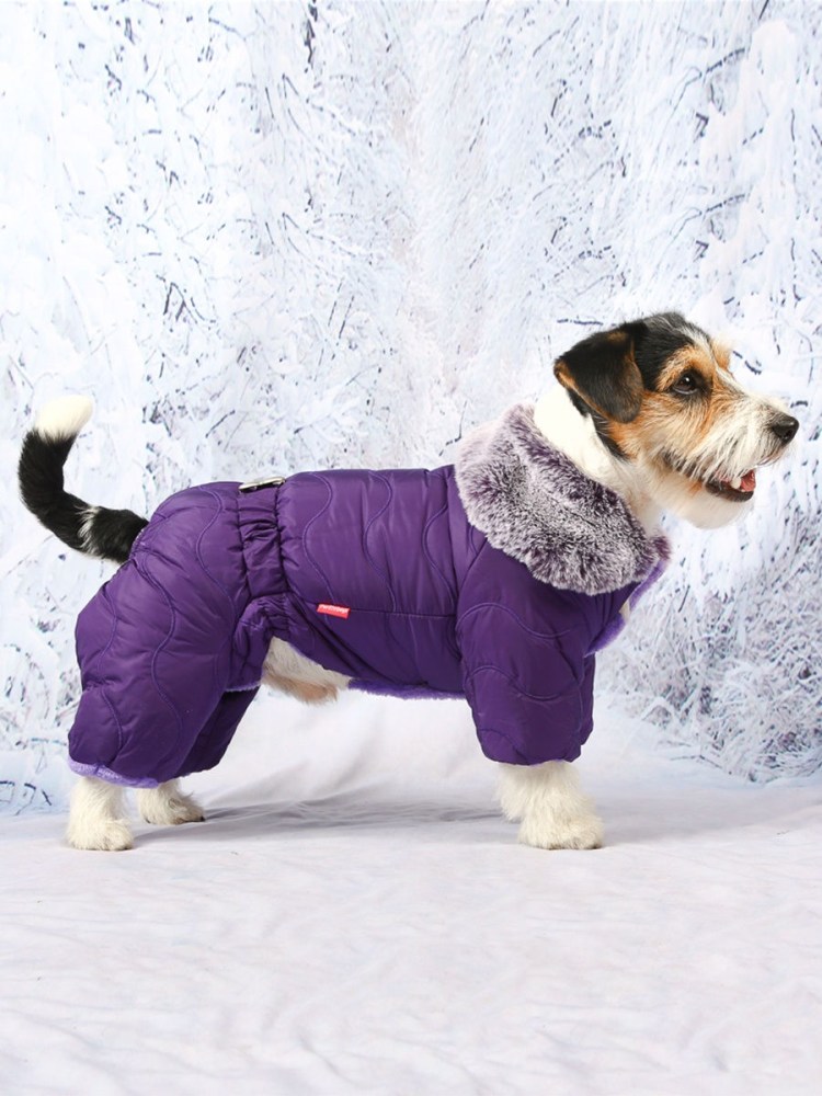 Одежда для собак Ringo