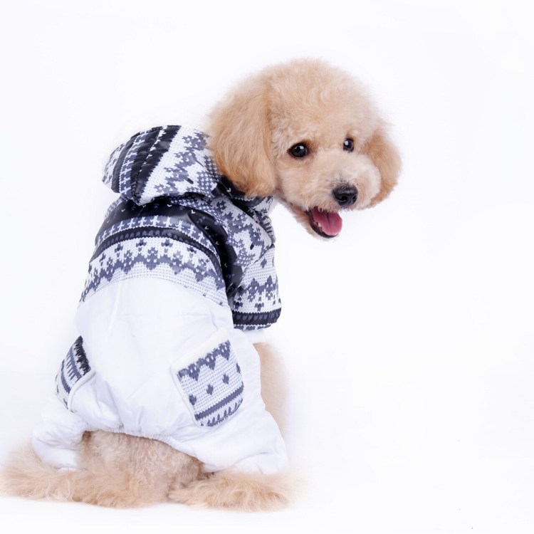 Doggy Dolly одежда для собак