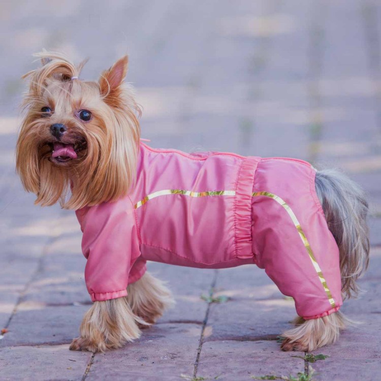 Комбинезон FORMYDOGS фиолетовый