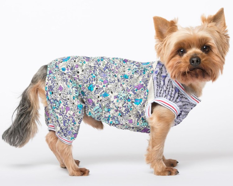 Комбинезон ЗМ Йоркширский терьер утепл