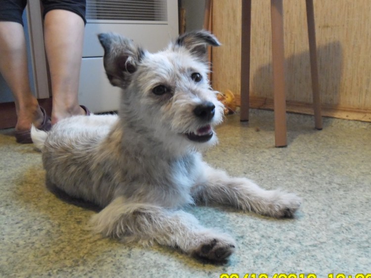 Баатр Сангаджиев