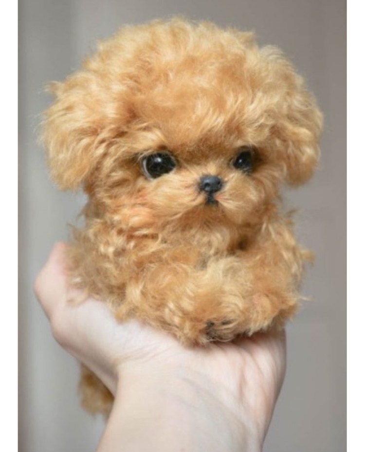 Собачка me to you флаффи