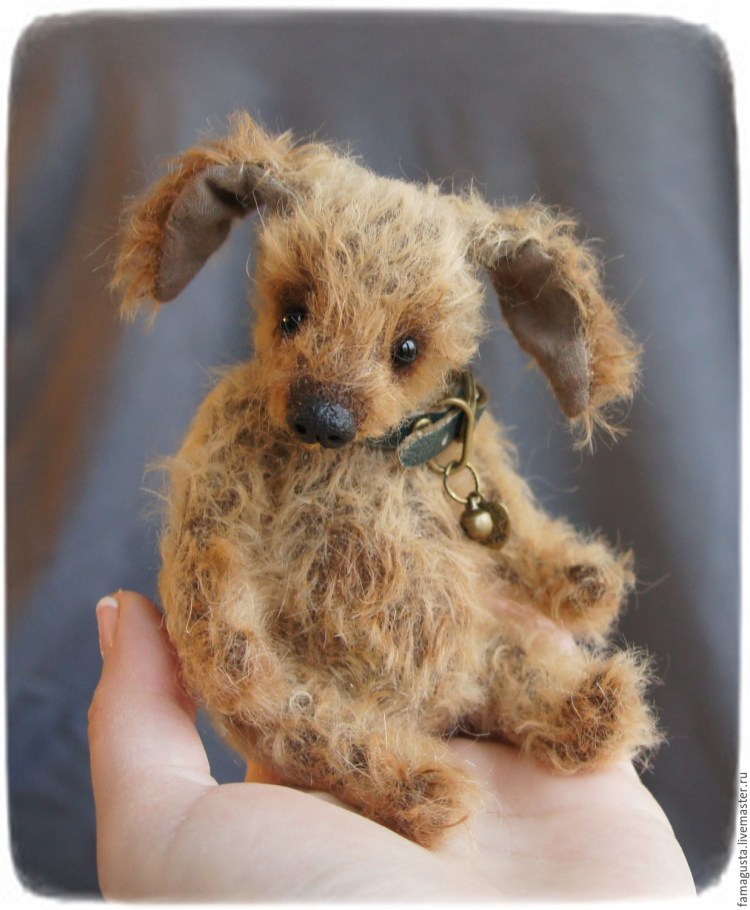 Мальтипу Тедди