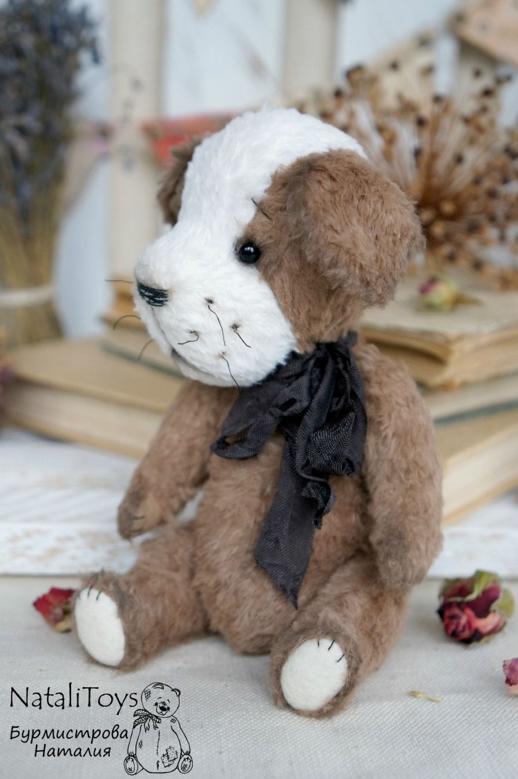 Teddy Poodle порода