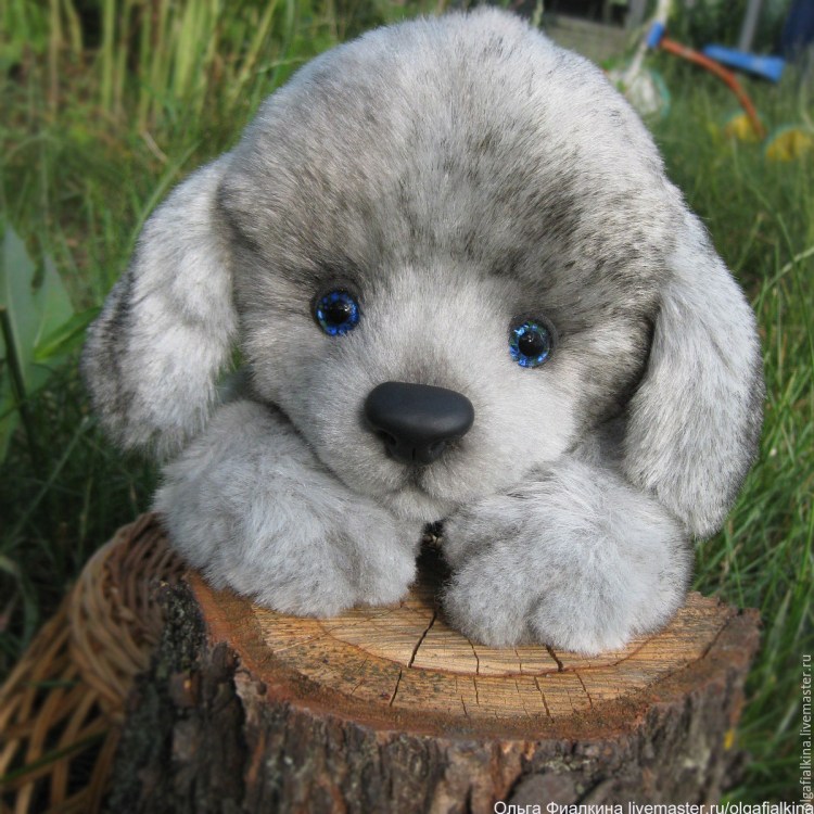 Сильвер пудель