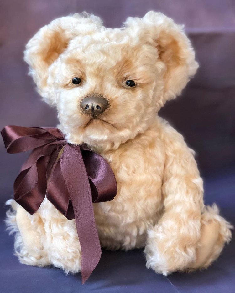 Щенок Тедди Фиби