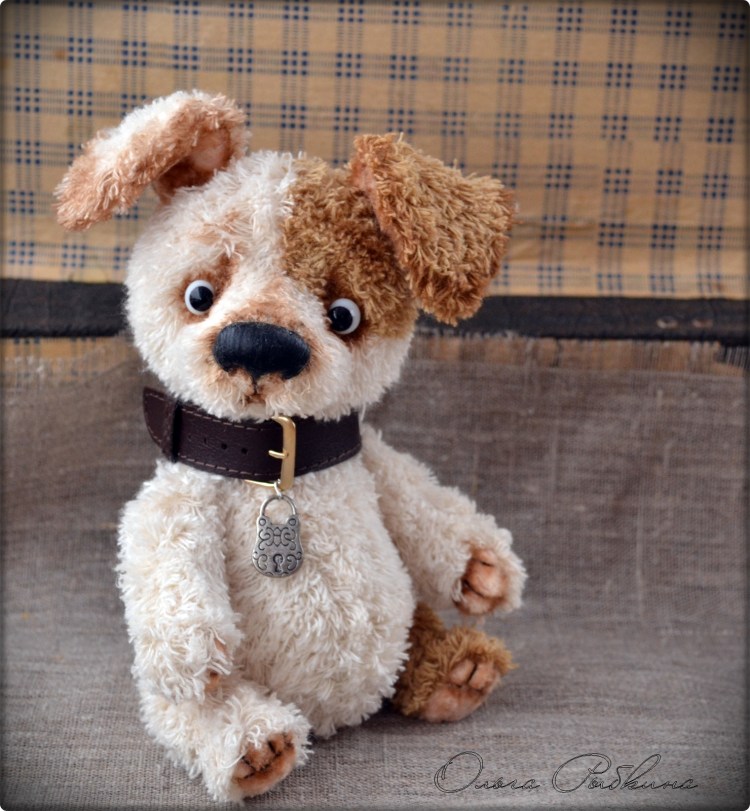 Оливер порода собак