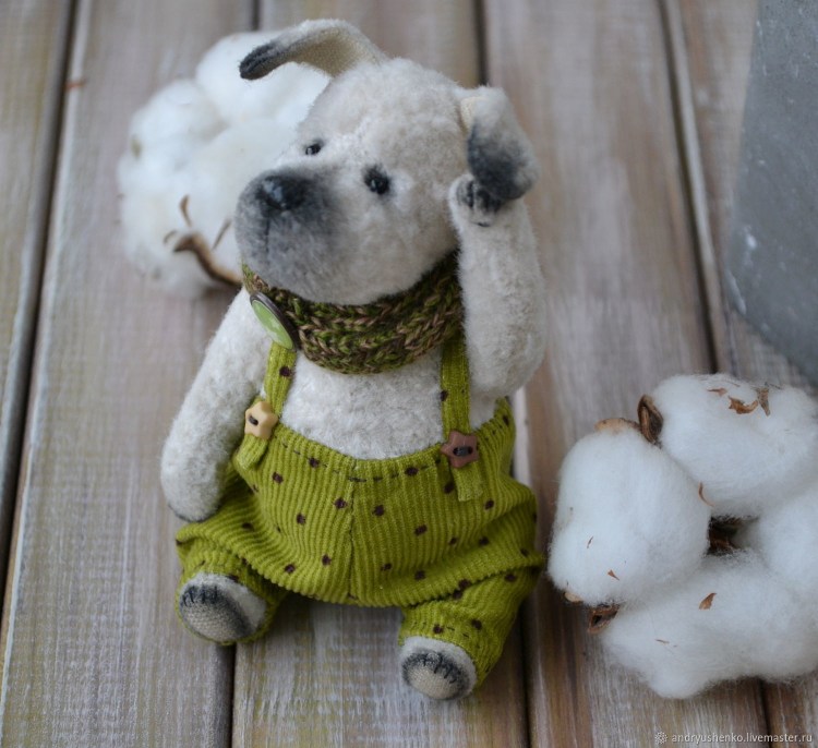 Порода Тедди Беар