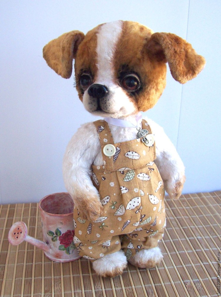 Тедди дог собака