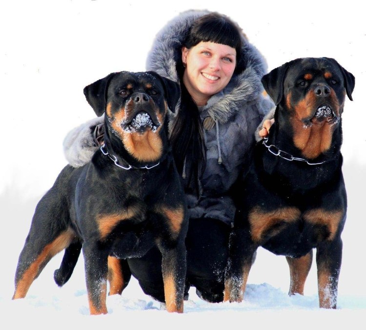 Семья ротвейлеров