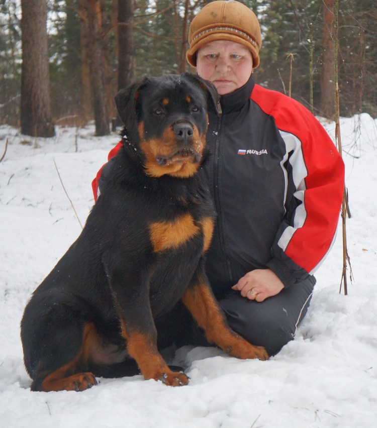 Ротвейлер с хозяином