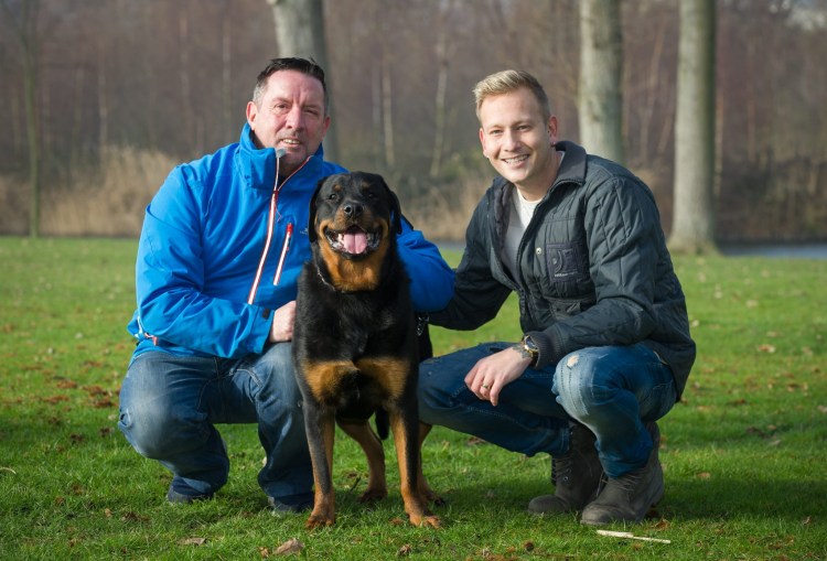 Ротвейлер жены