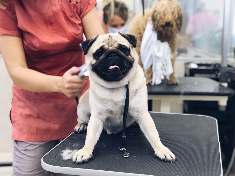 Грумер для МОПСА