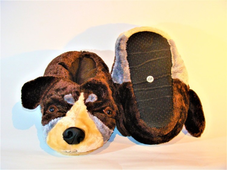 Чихуа с тапком на голове