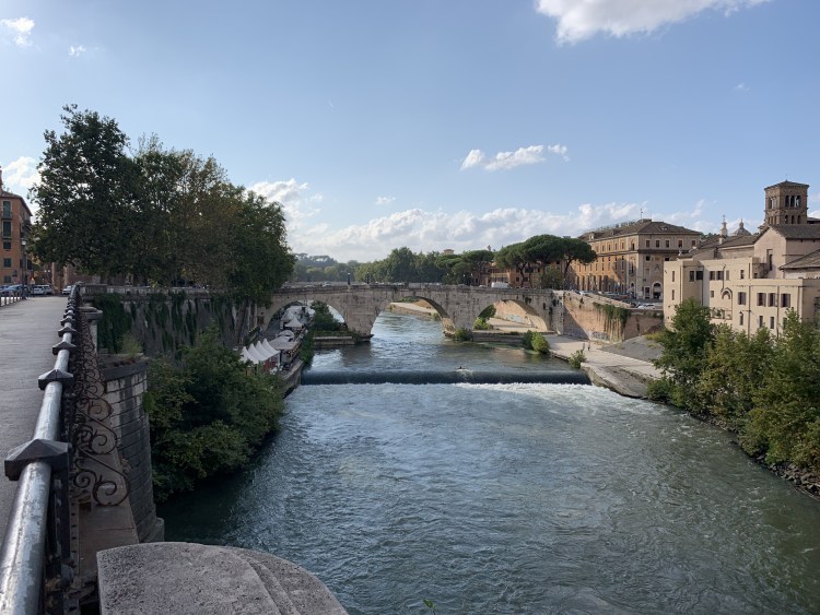 Пти брабансон хвост