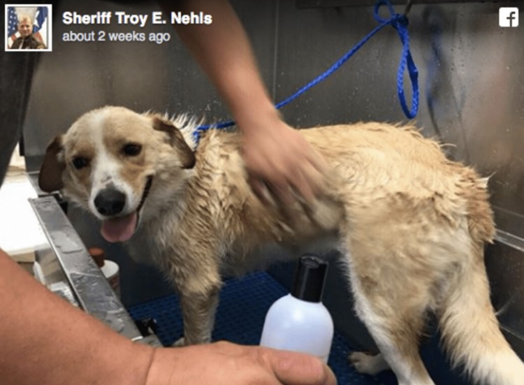 Гладит по голове фото