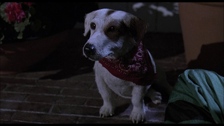 Грызлик трудный ребенок