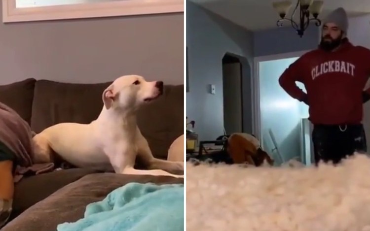 Деннис мучитель