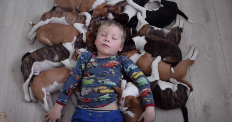 Тёрнер и Хуч фильм 1989