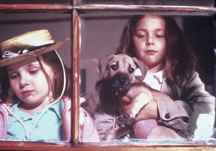 Детские комедии про приюты