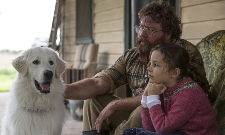 Младенец и борзая