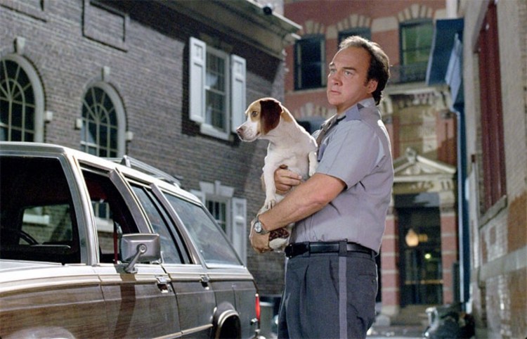 Суперпес фильм 2007