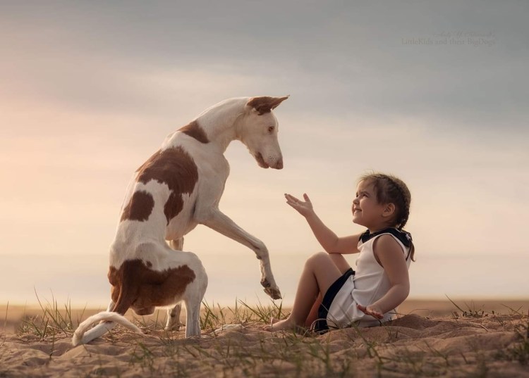 Собачья жизнь фильм актрисы