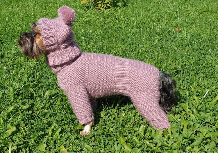 Вязанная одкжла доя собак